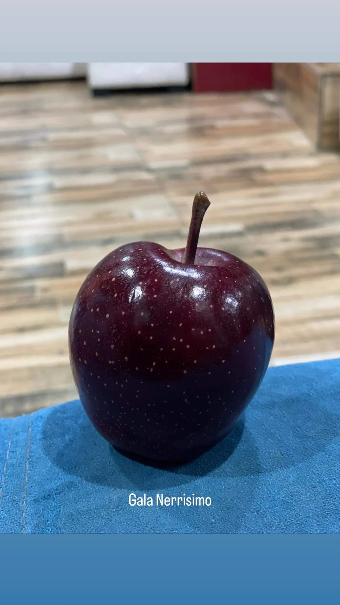 Nerissimo Gala– Premium Black Apples from Himalayas