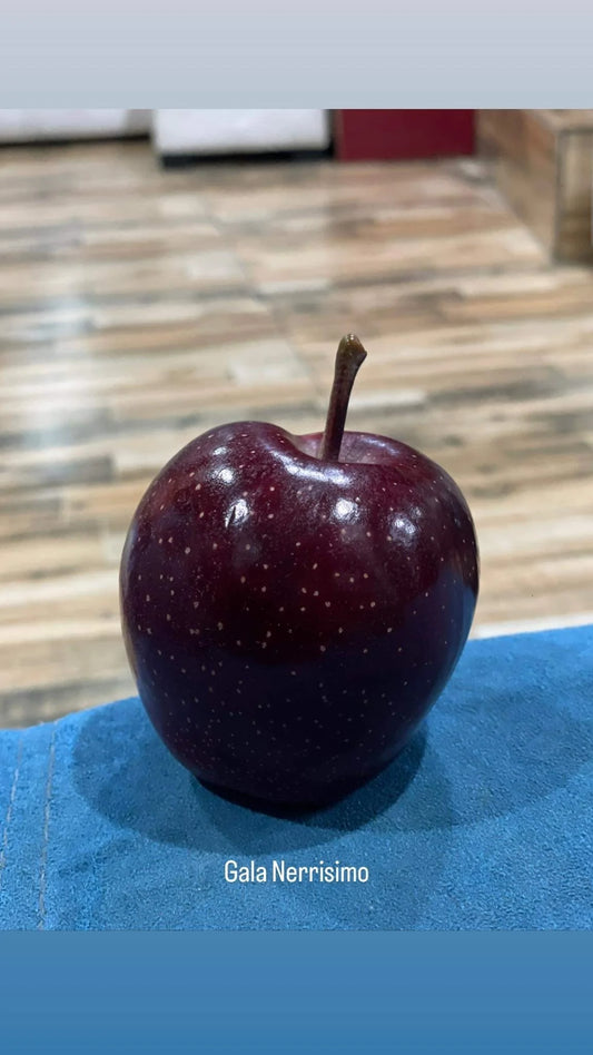 Nerissimo Gala– Premium Black Apples from Himalayas