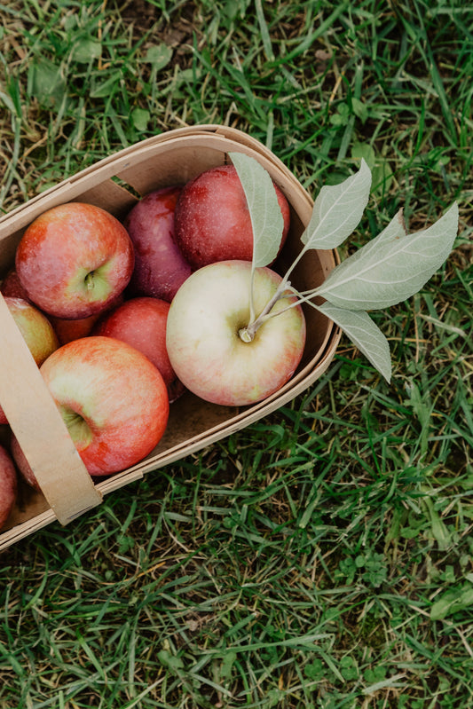 Farm Stories & Sustainability: The Heartbeat of Apple Orchards